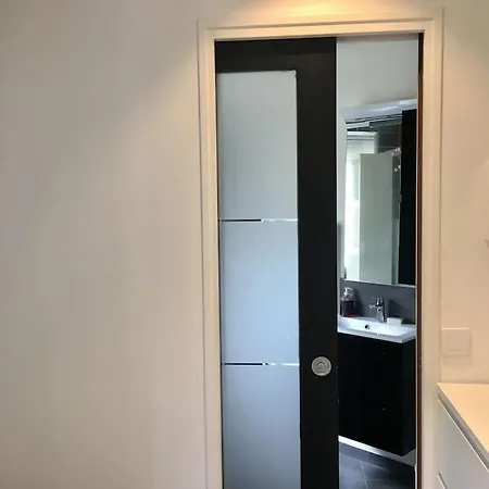Magnifique Studio Neuf Avec Acces Independant - Champs Elysee