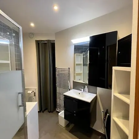 Magnifique Studio Neuf Avec Acces Independant - Champs Elysee Paris